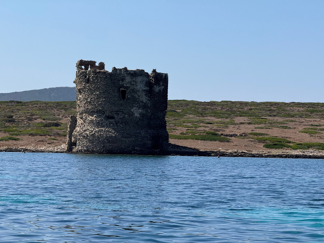 Amato Escursioni Nautiche di Daniele Amato-Asinara必去景点