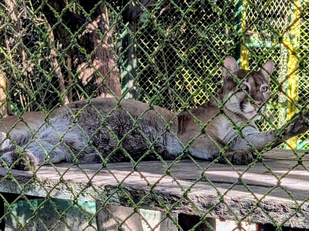 ZooFIT - Zoologico de Santarem-Santarem必去景点