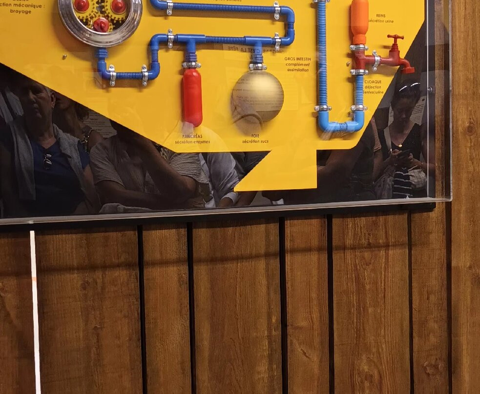 Musée du Foie Gras-Frespech必去景点