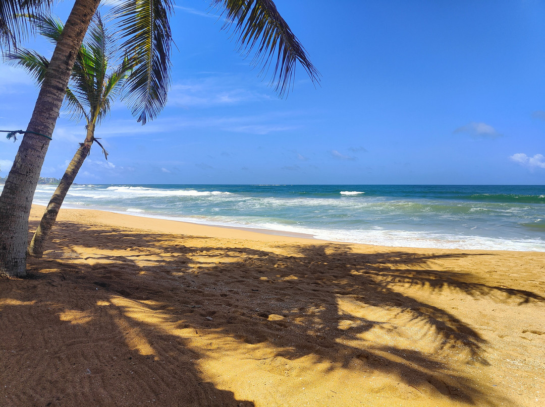 奥赛海滩酒店主图