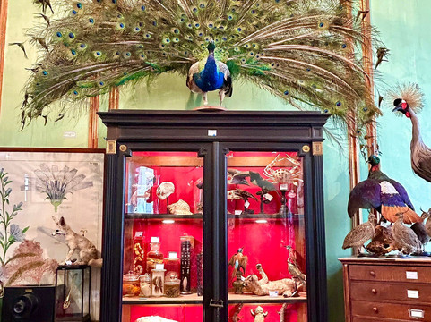 天牛-巴黎必去景点