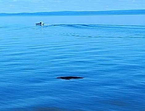 Marine Environment Discovery Centre-Les Escoumins必去景点