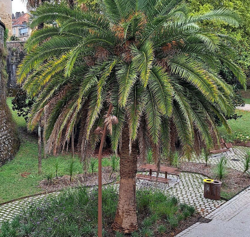 Jardin Botanique-Bayonne必去景点