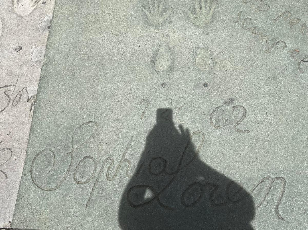 TCL Chinese Theatre-好莱坞必去景点