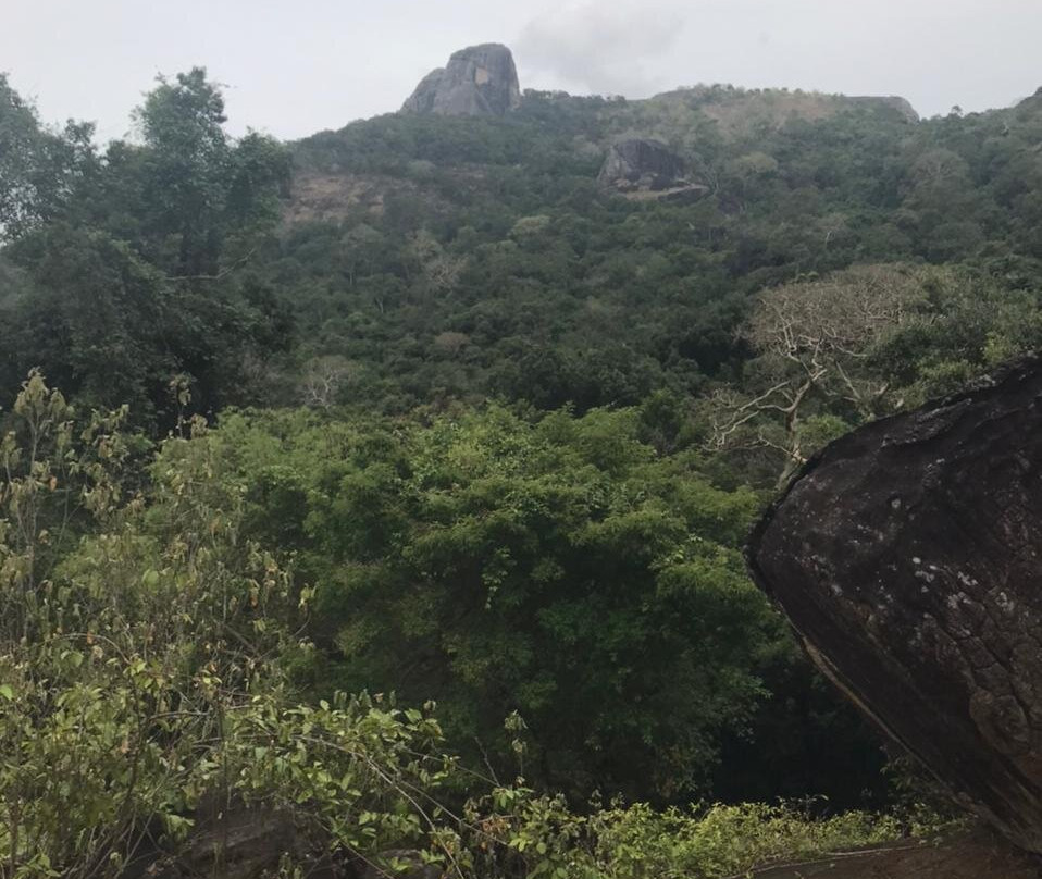 Kaludiya Pokuna Nature Walks-锡吉里亚必去景点