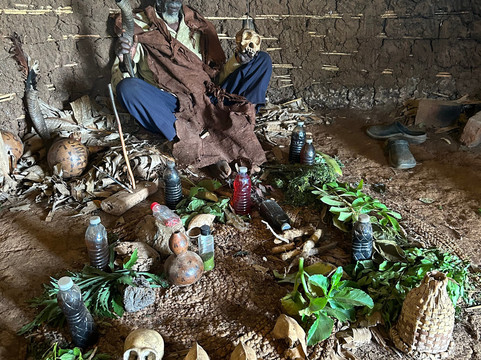 Gorilla Tours-坎帕拉必去景点