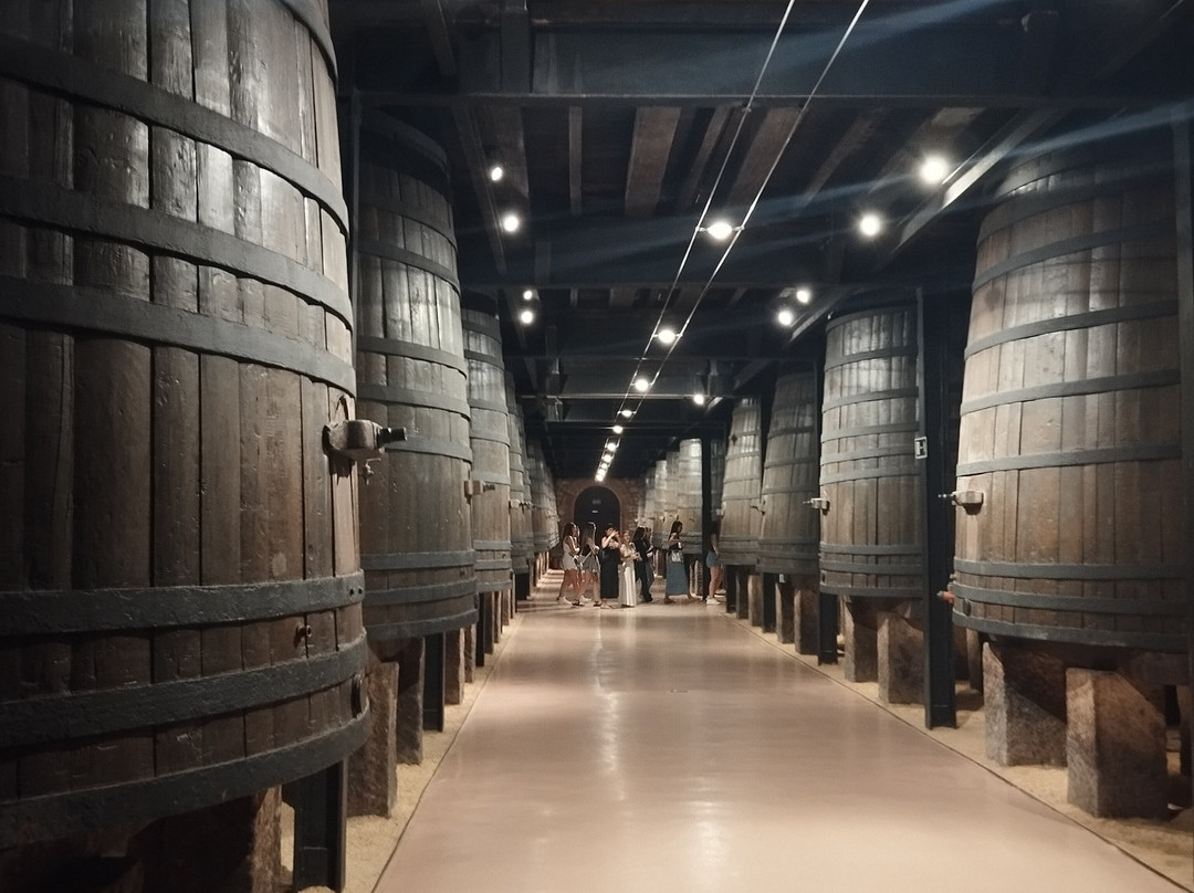 Bodegas Franco Espanolas-洛格罗尼奥必去景点
