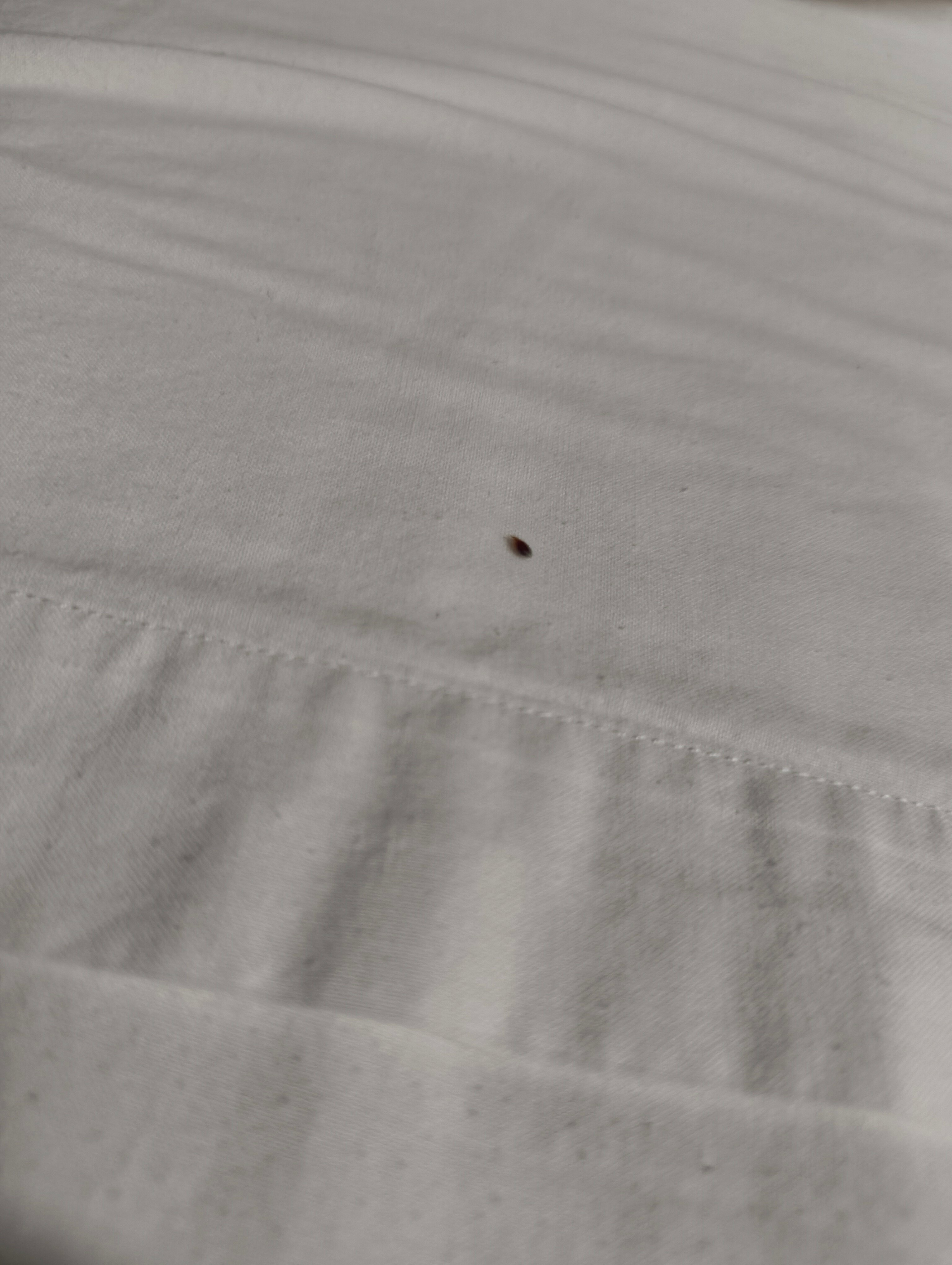 Hotel Relais Ras El Maa-官方