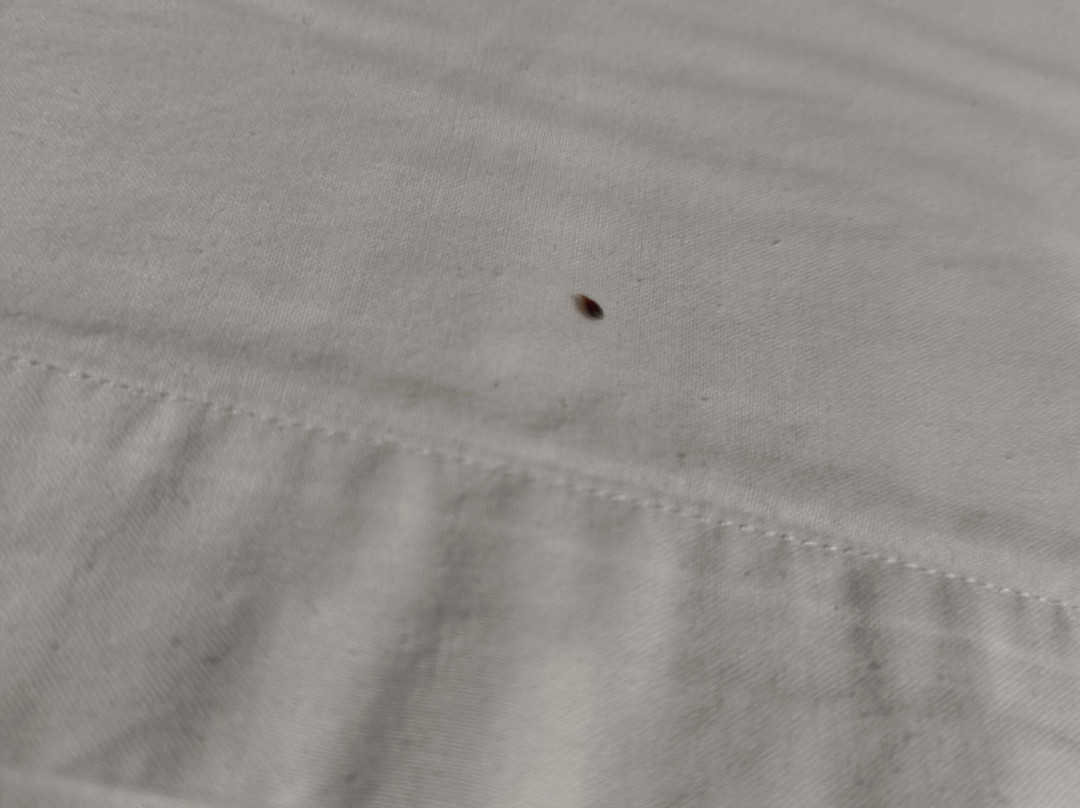 Hotel Relais Ras El Maa主图