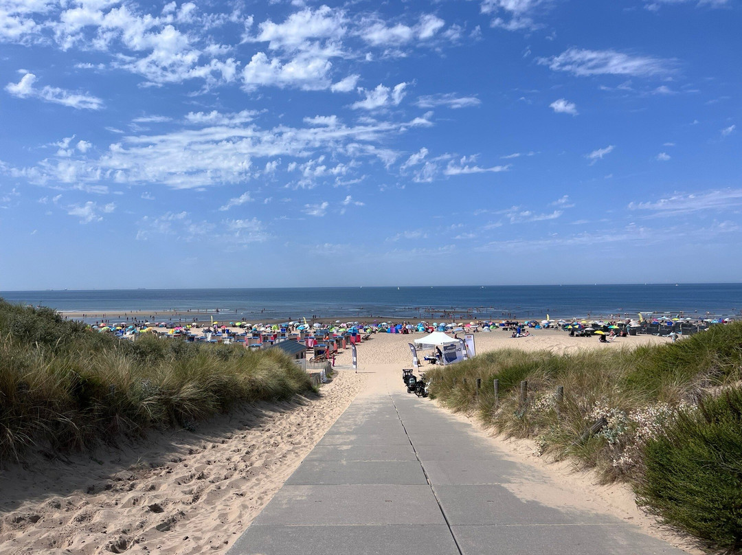 Leiden Street Market-莱顿必去景点