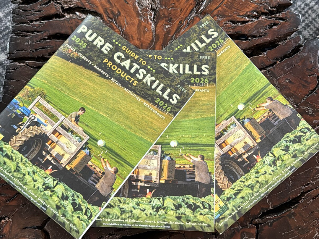 Hunter Lodge, a Bluebird by Lark主图