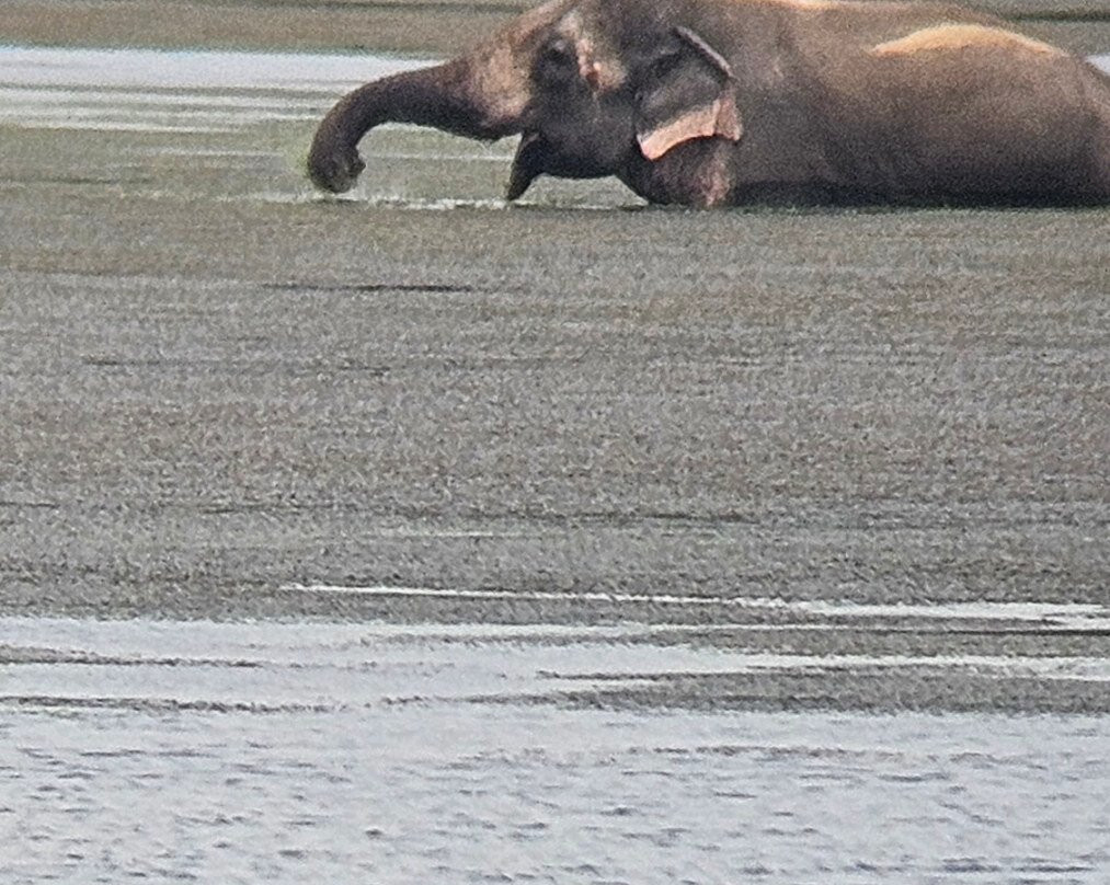 Tour Guide in Sri Lanka-尼甘布必去景点