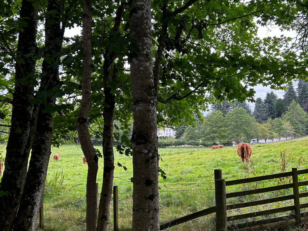 Segway Ecosse-皮特洛赫里必去景点