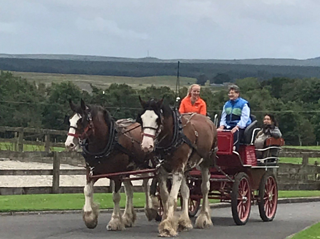 Peggyslea Clydesdales-Penicuik必去景点