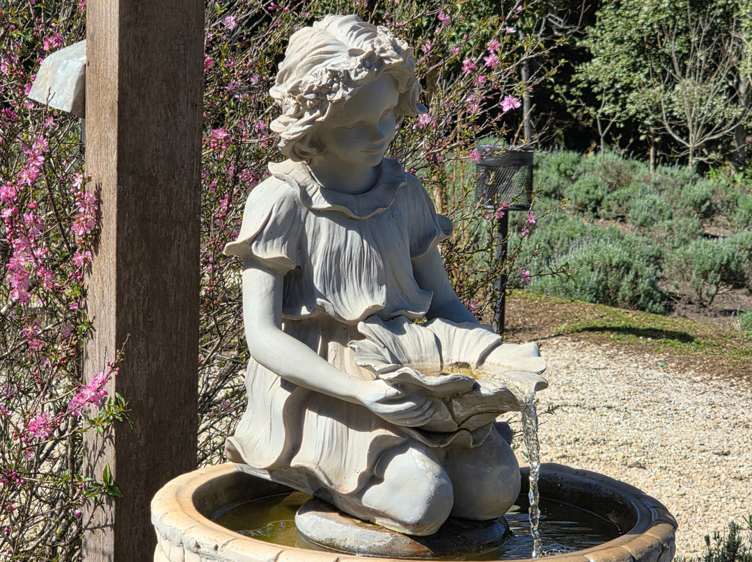 Lavandário Vale Dos Sonhos-Palmeira必去景点