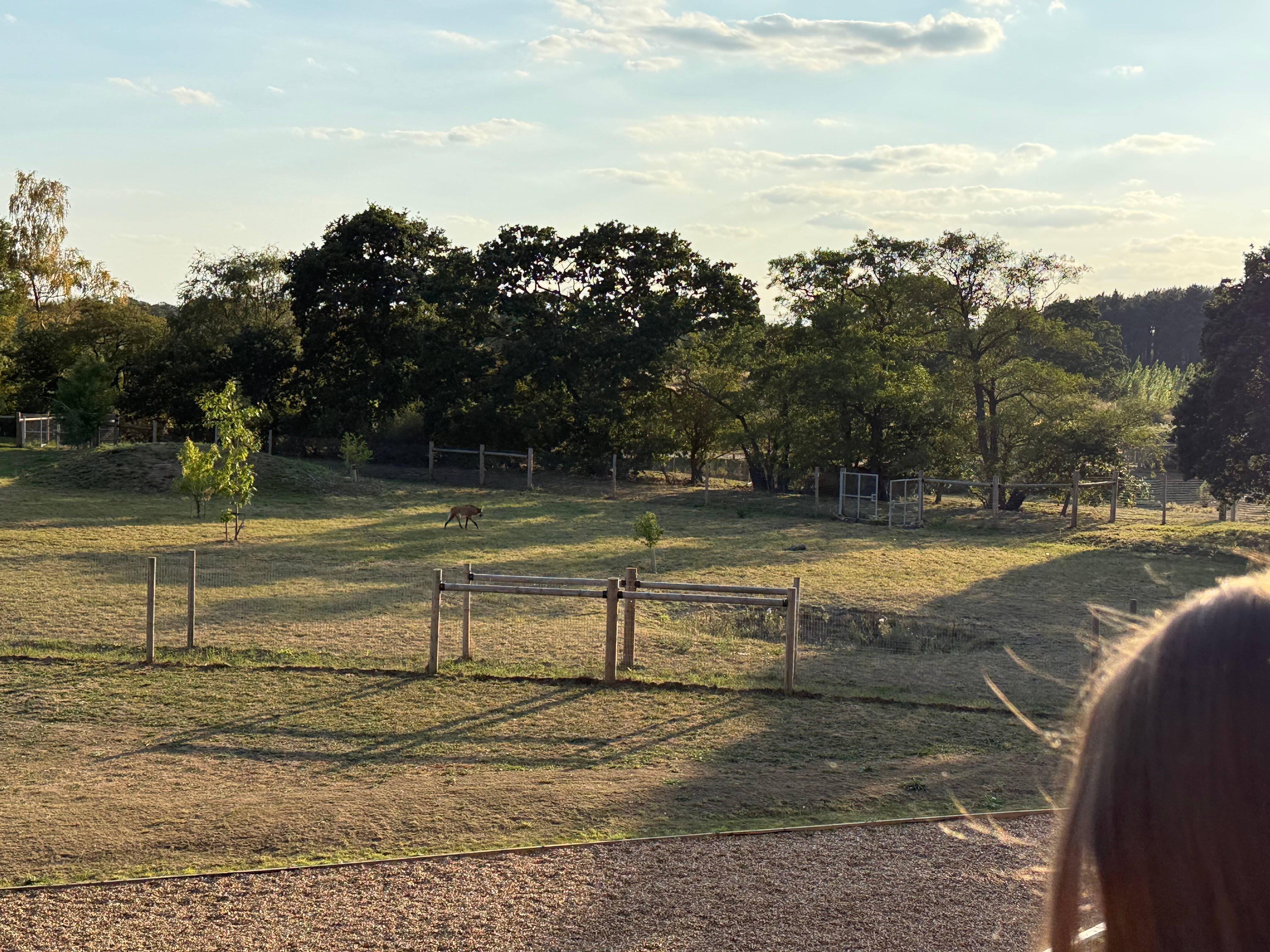 Hex Wildlife Hotel-官方