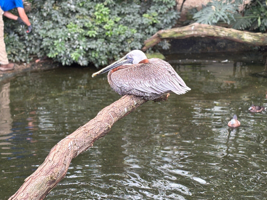 国家鸟类公园-匹兹堡必去景点