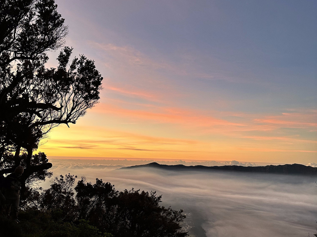 EastJavaDriver-玛琅必去景点
