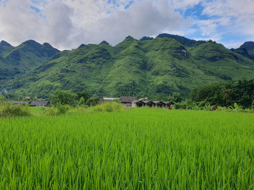 Du Gia Field View Homestay