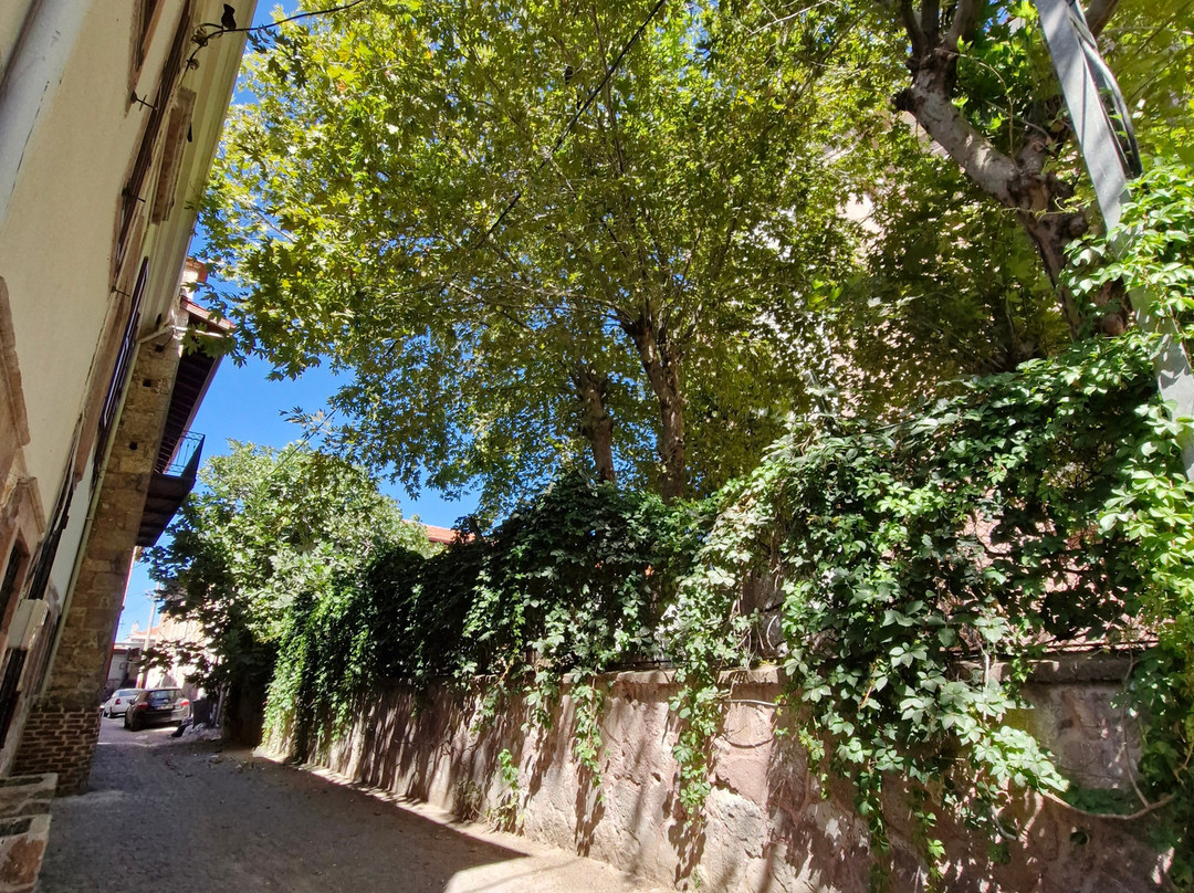 LORESİMA TRAVEL-萨姆森必去景点