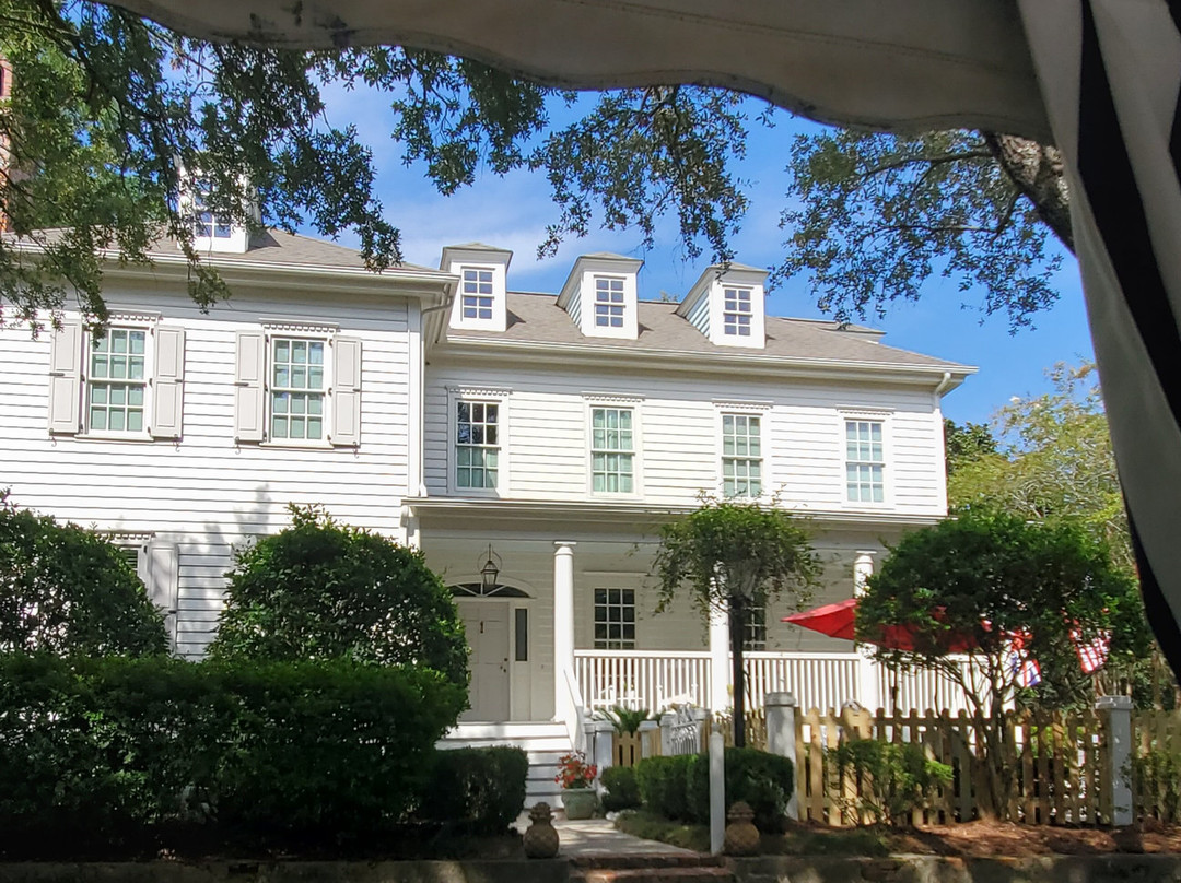 Swamp Fox Tours-乔治敦必去景点