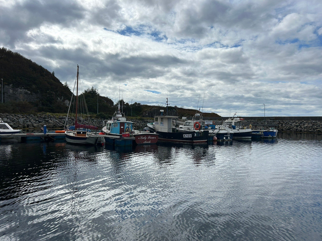 North Coast Sea Tours-Lochinver必去景点