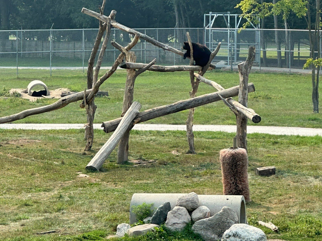 Deer Tracks Junction-Cedar Springs必去景点