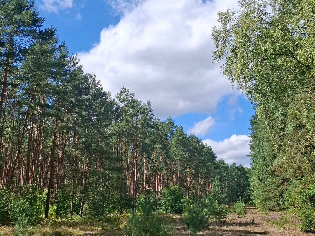 Biergarten und Waldimbiss Briesekrug