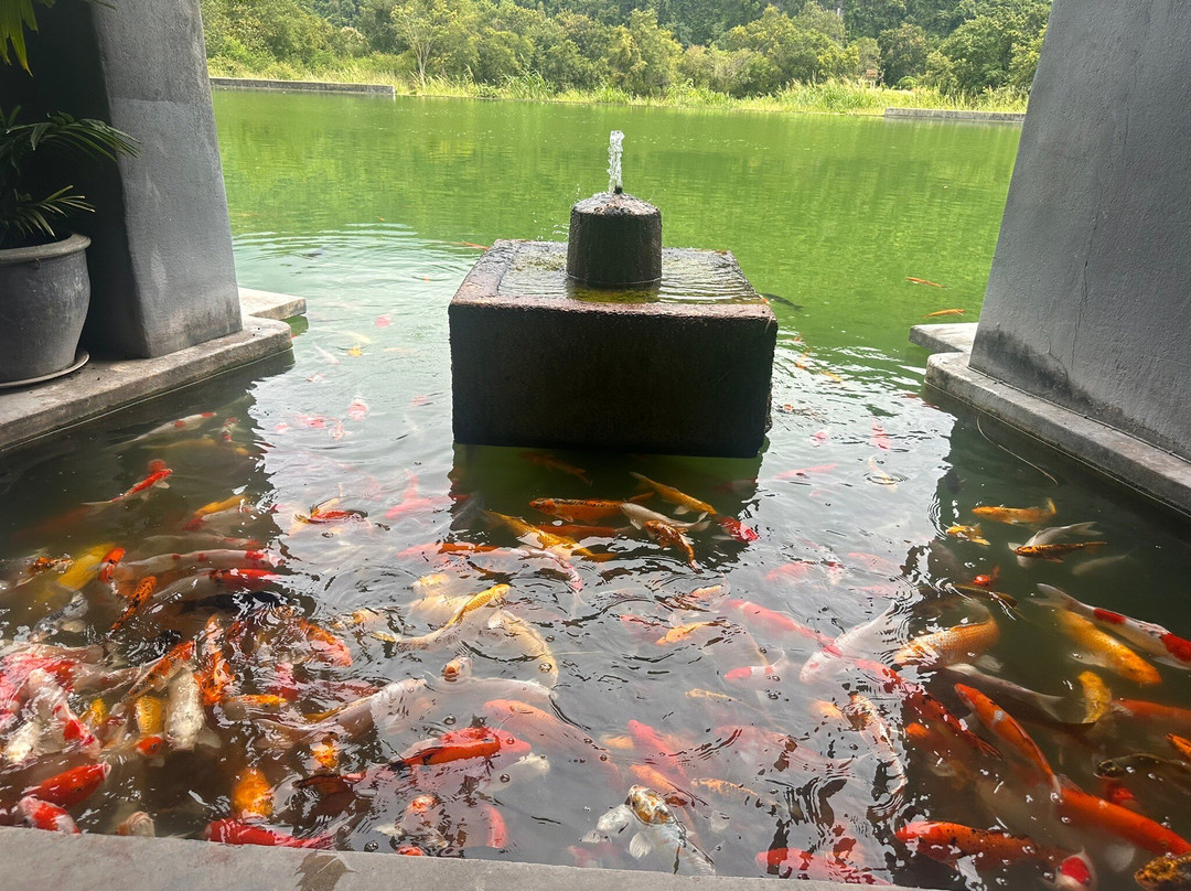 阿凡达温泉山间公寓酒店主图