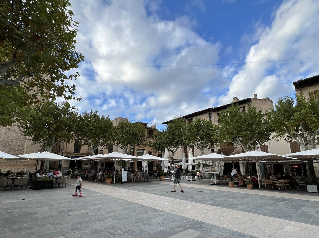 Placa Major-Pollenca必去景点