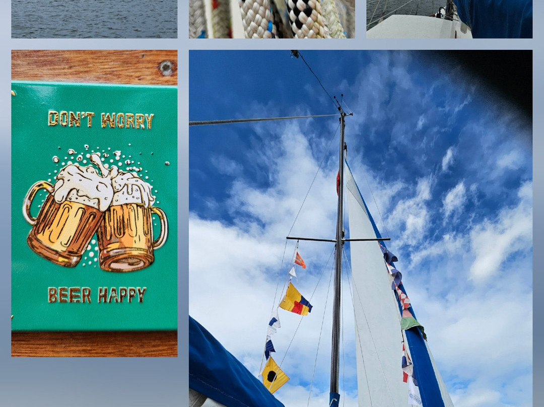 Biesbosch Mini Cruises-Drimmelen必去景点