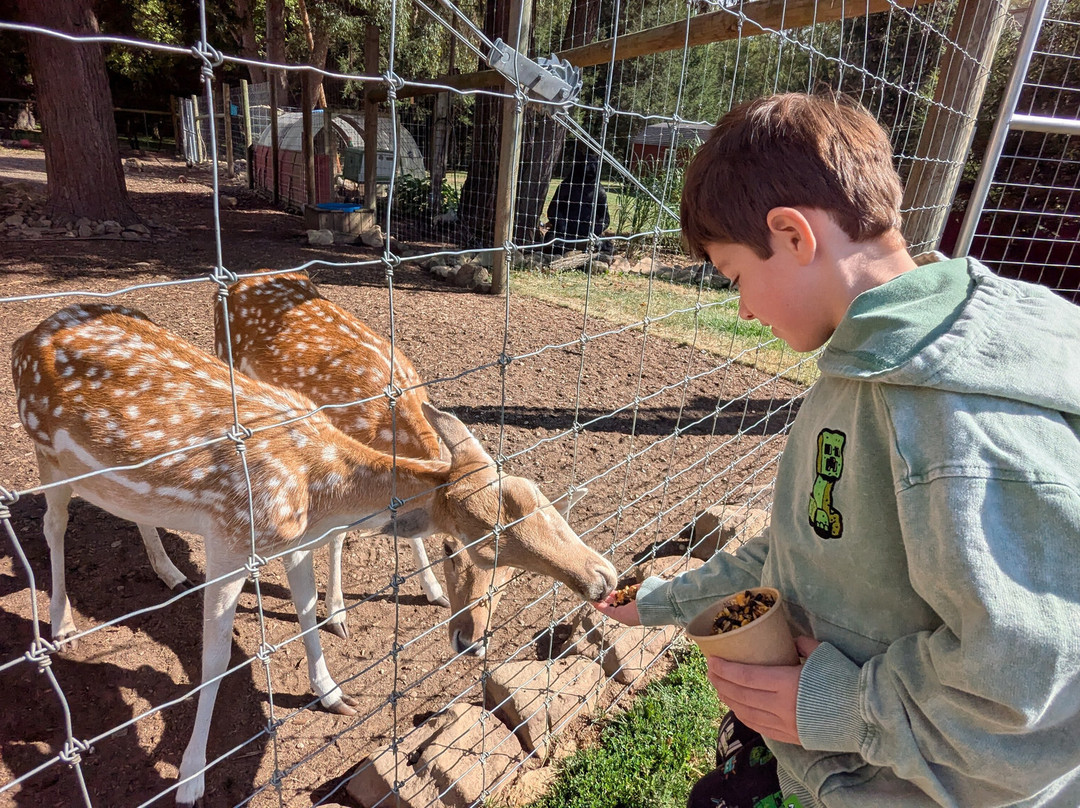 Black Forest Trading Post & Deer Park-Ulysses必去景点