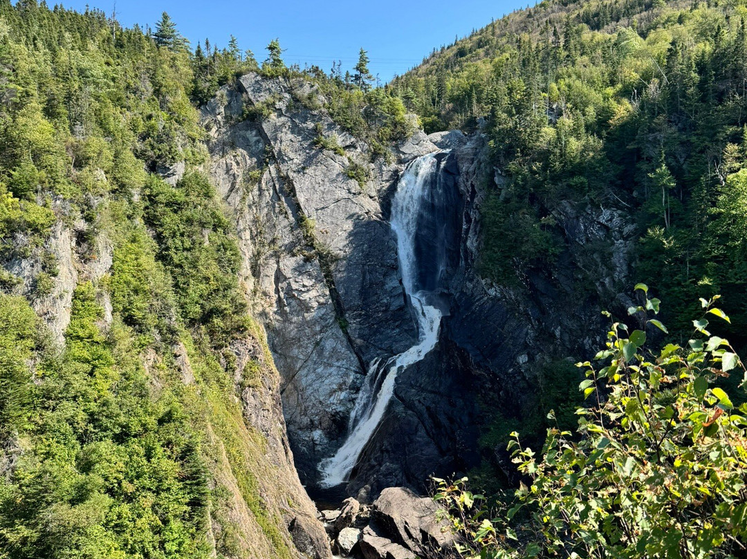 Steady Brook Falls Trail-Steady Brook必去景点