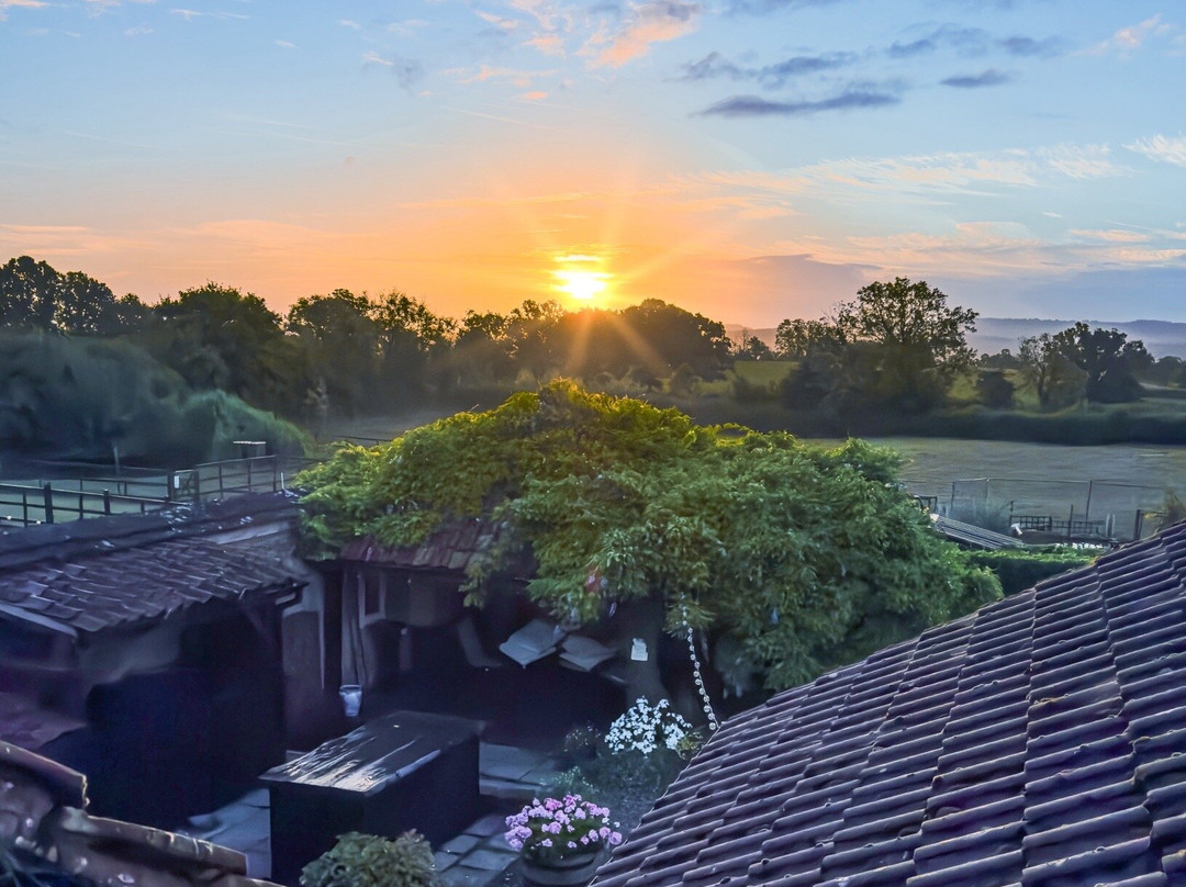 The Place To Stay主图