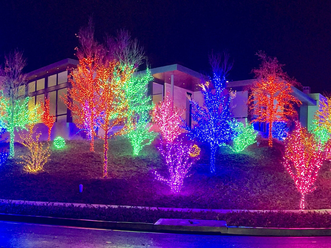 I See Dallas-达拉斯必去景点