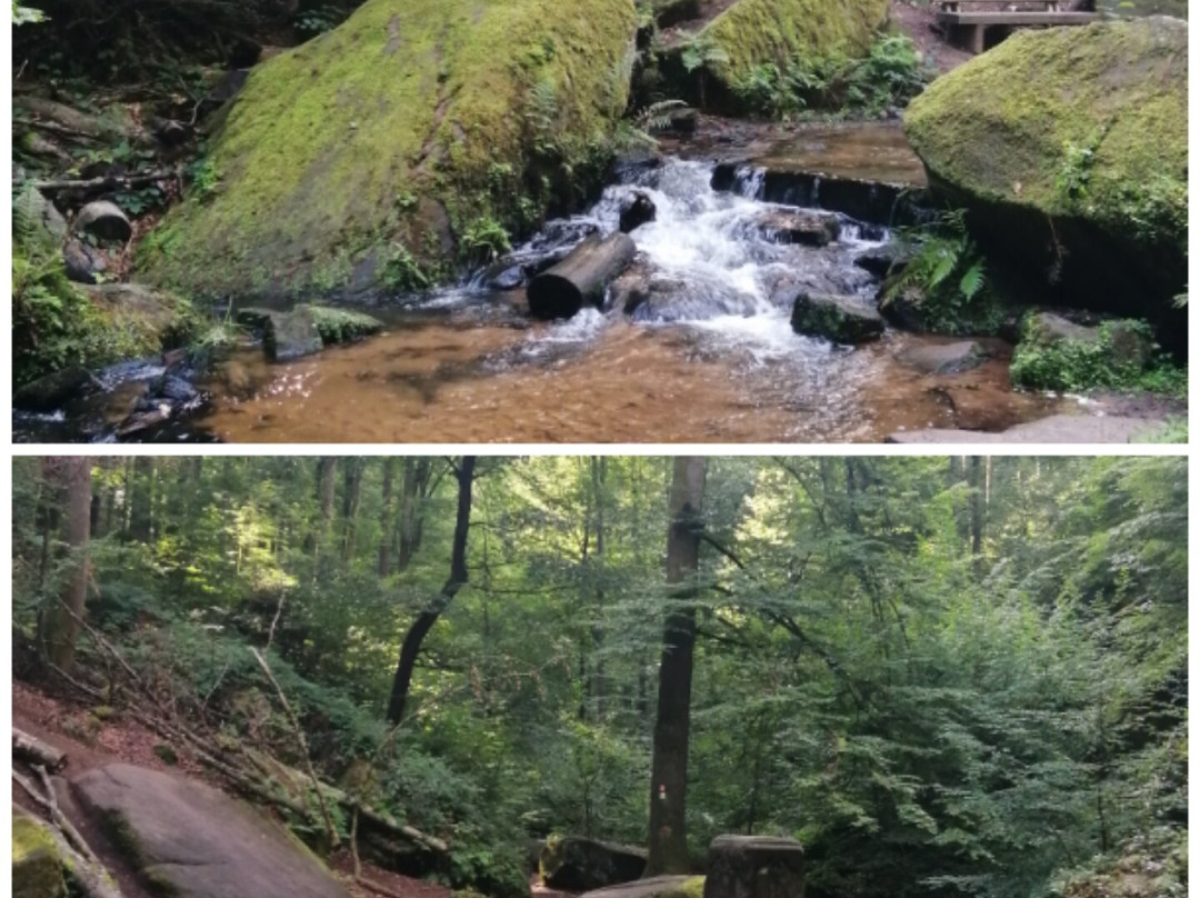 Karlstalschlucht-Trippstadt必去景点