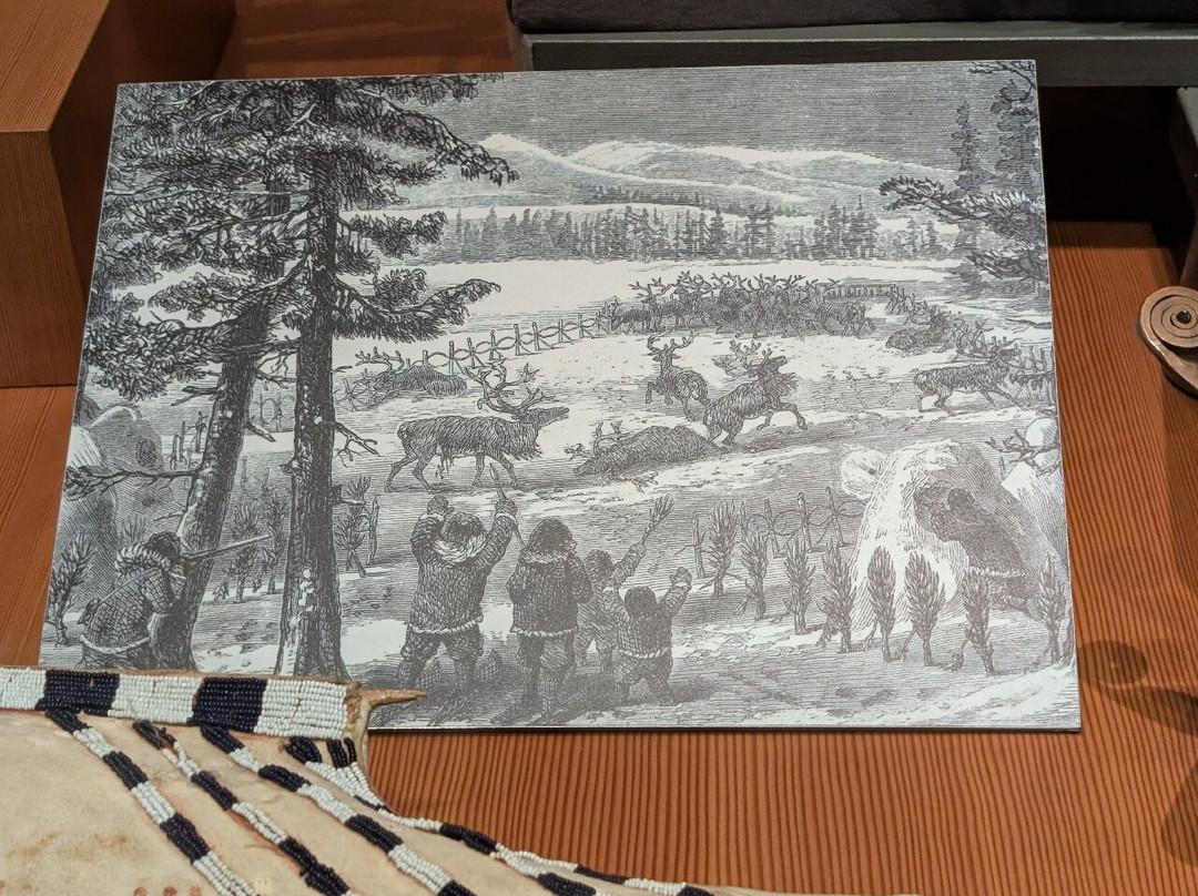 Alaska State Museum-朱诺必去景点