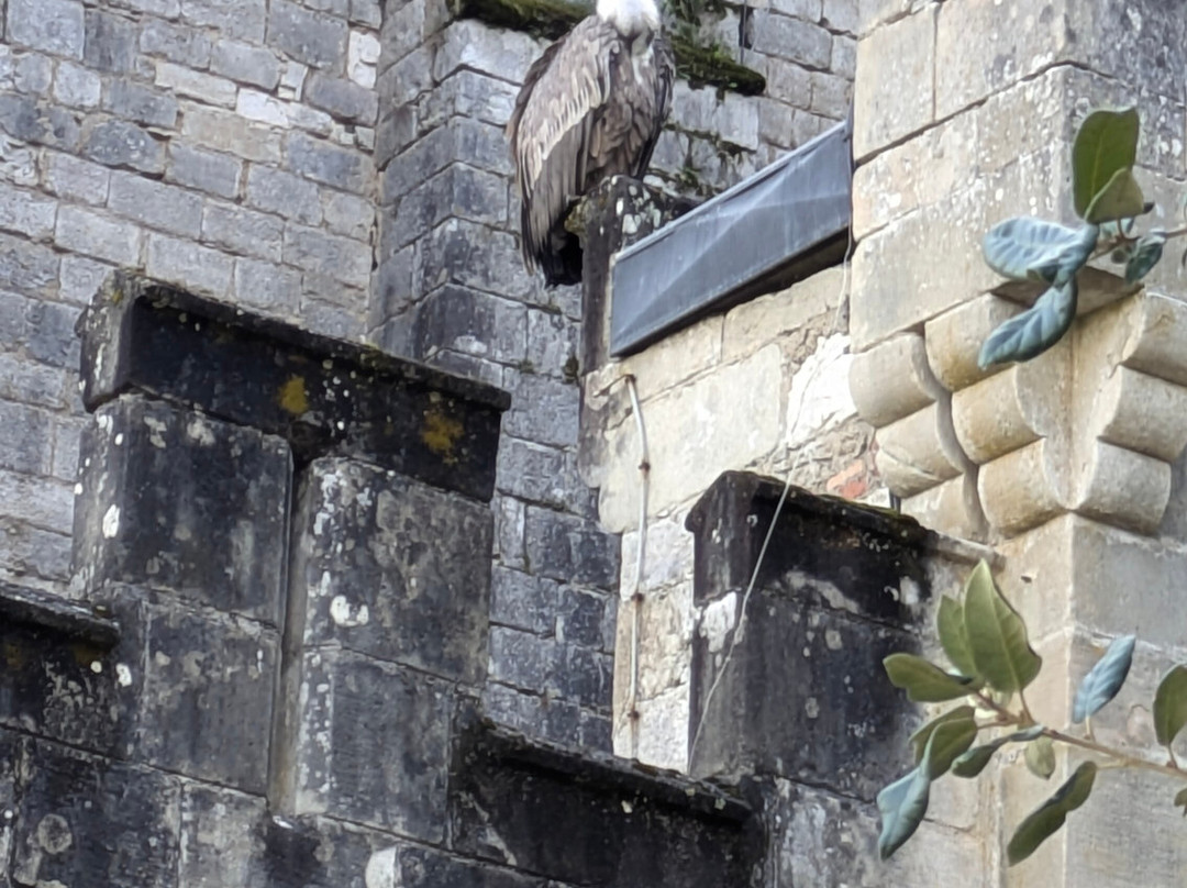 Rocamadour Aventures-Rignac必去景点