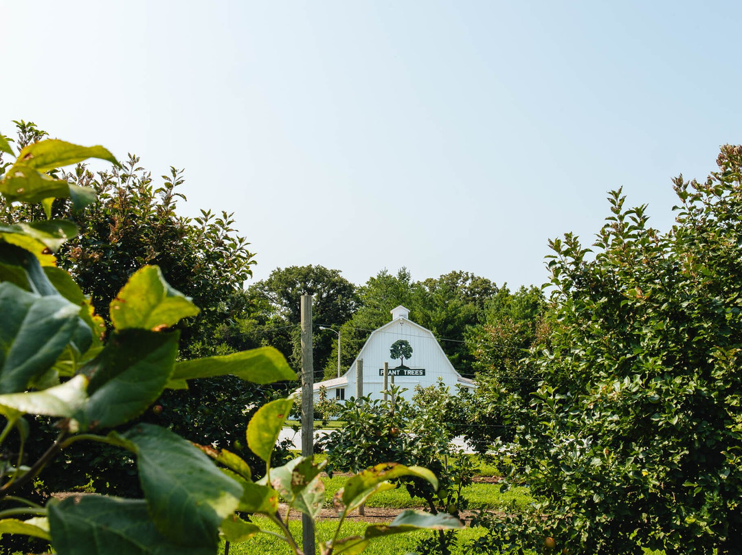 Arbor Lodge State Historical Park-Nebraska City必去景点