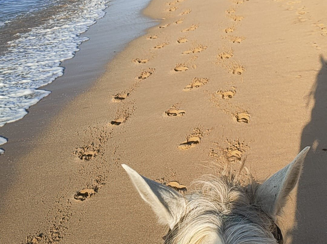 Centro Hipico Zahora-Zahora必去景点