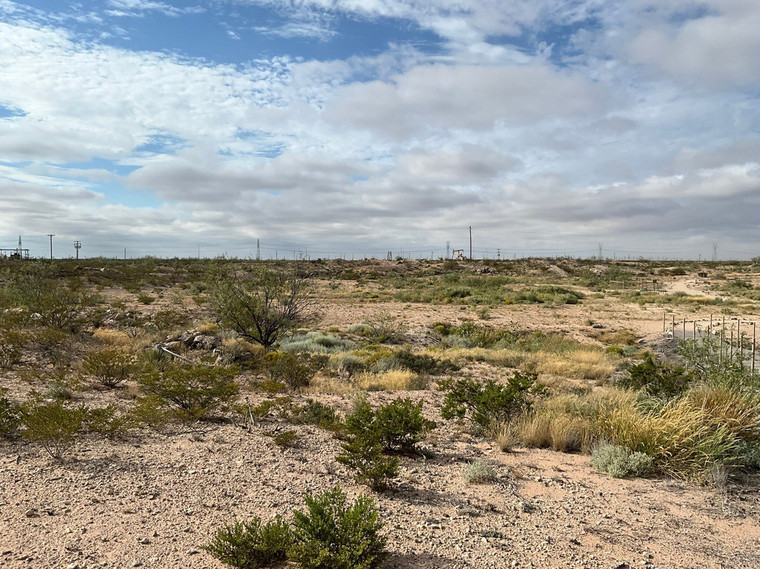 Odessa Meteor Crater and Museum-米德兰必去景点