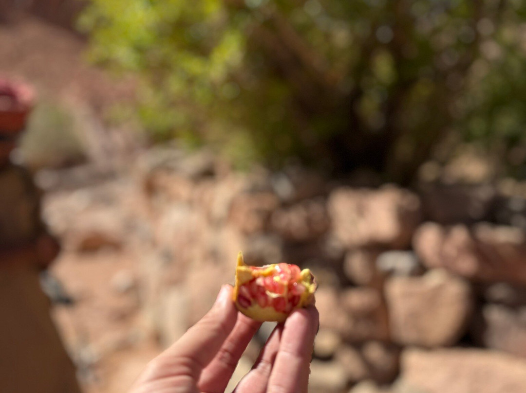 Sinai Hikes-圣卡特琳娜地区必去景点