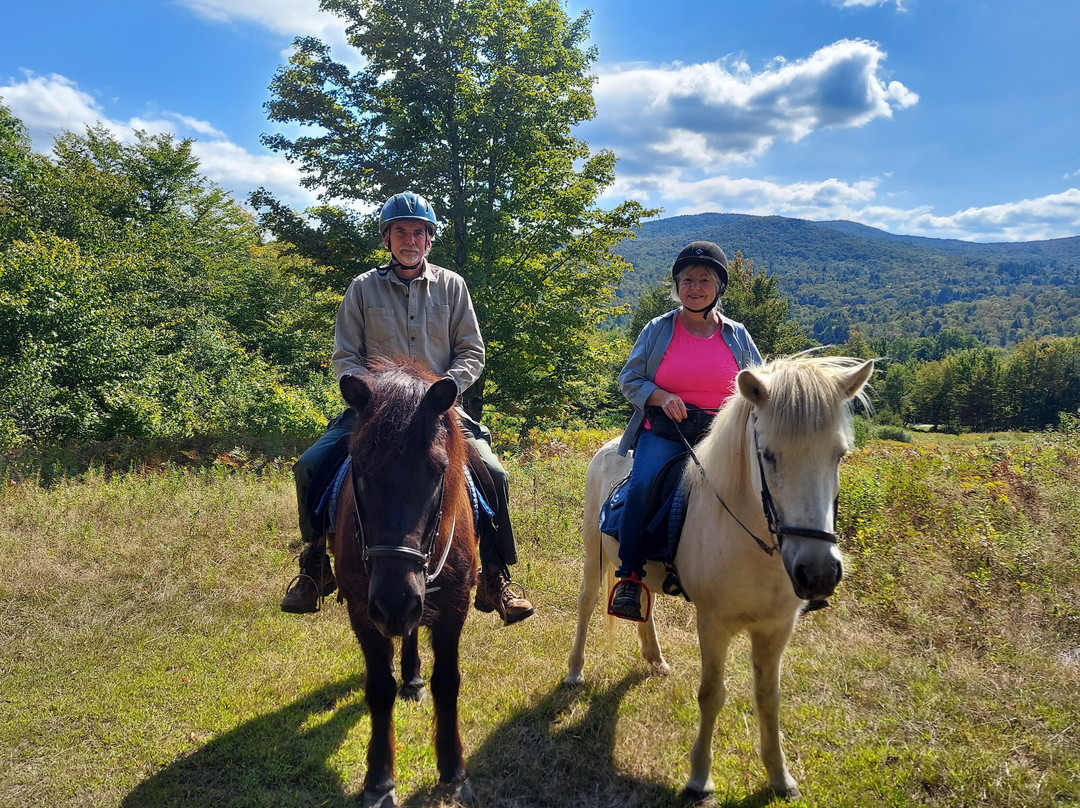 Vermont Icelandic Horse Farm-Moretown必去景点