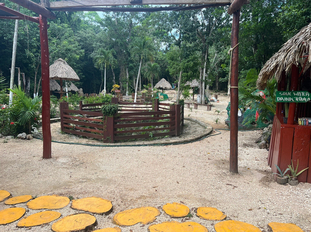 Jungle Kingdom-从莫雷洛斯港必去景点