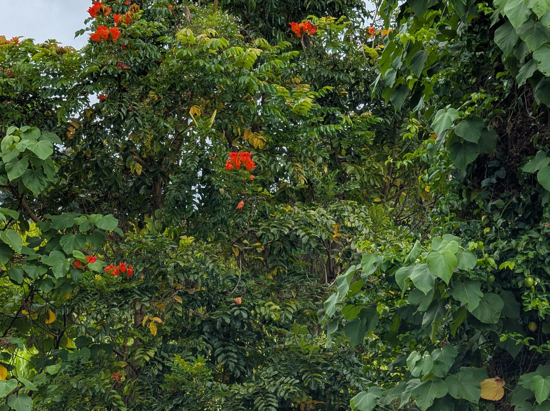 古德岛之家主图