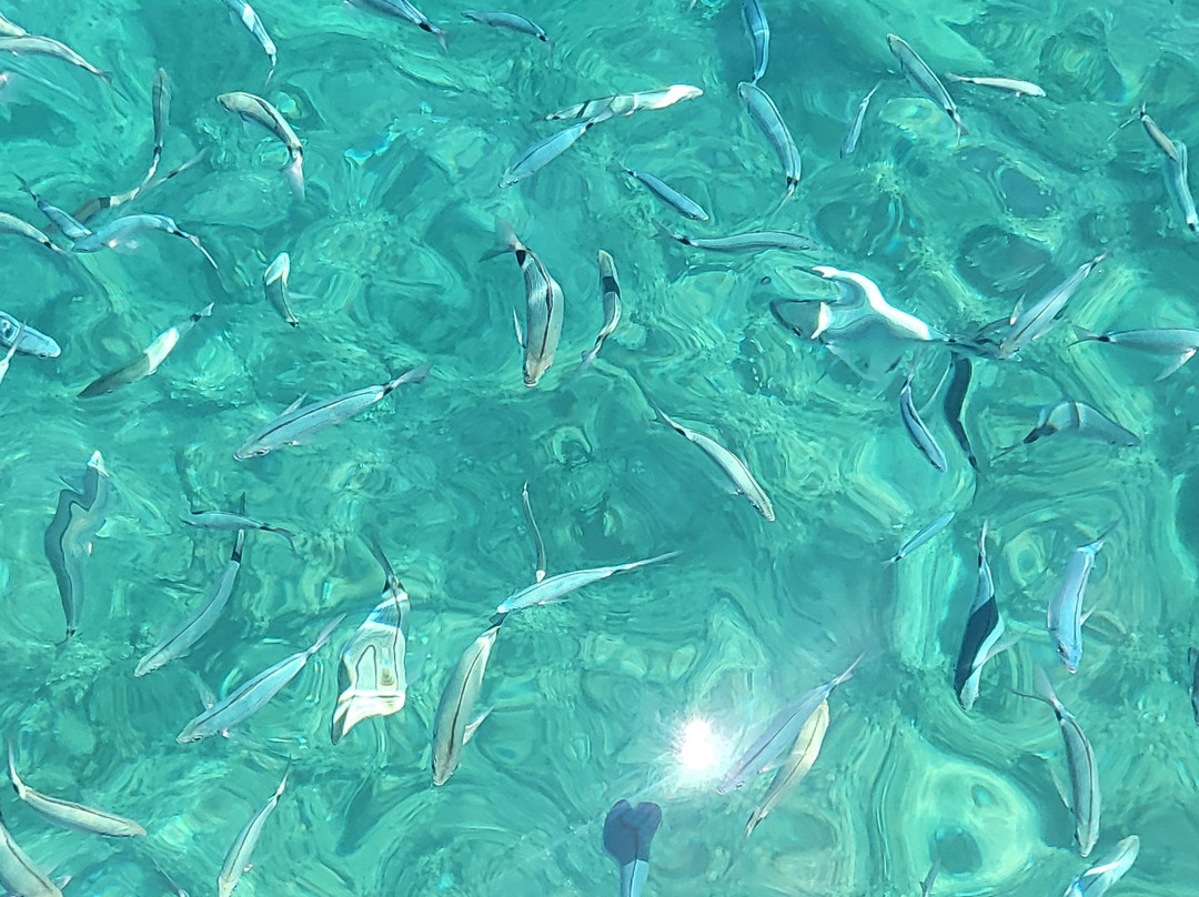 Levante Tour-Balestrate必去景点