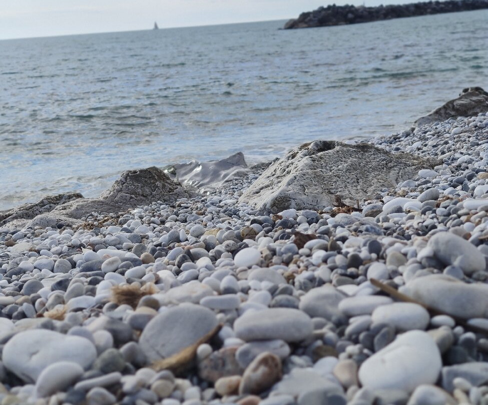 Scogli Marina di Pisa-Marina di Pisa必去景点