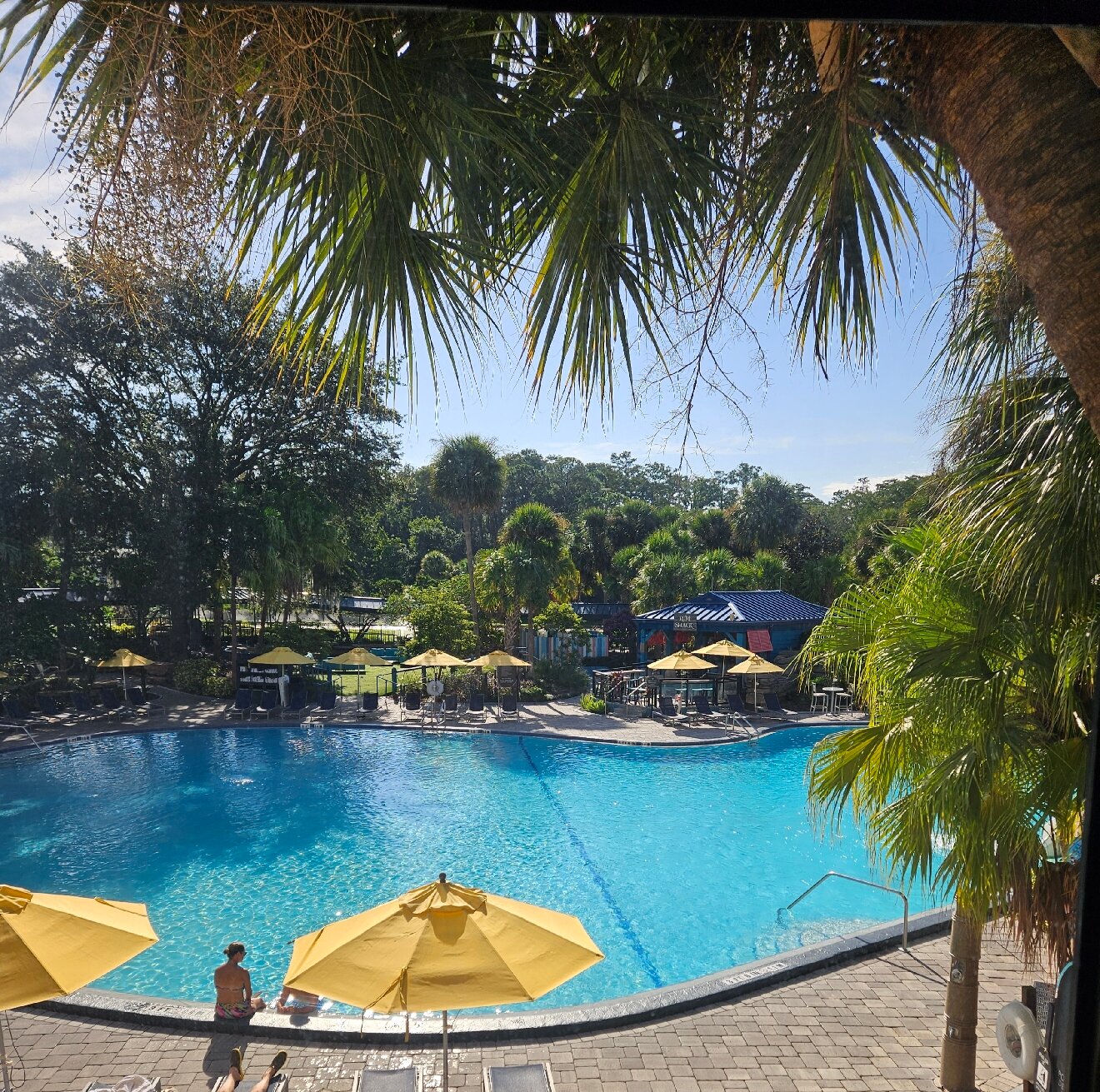 奥兰多庆典丽笙度假酒店-官方