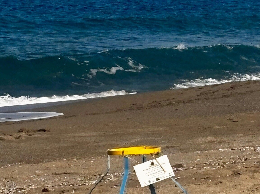 Komos Beach-Pitsidia必去景点