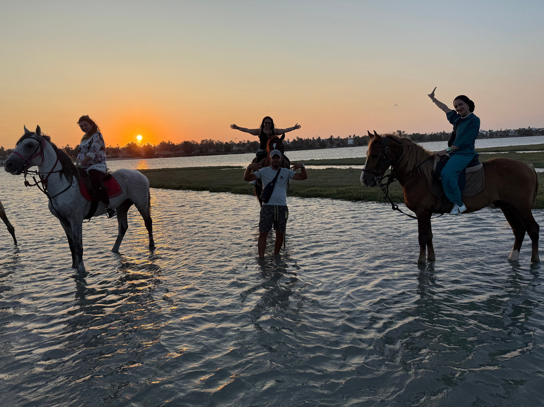 Nour Equestre Djerba-Djerba Midun必去景点